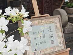 -邊城書店