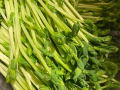 豆苗-盡膳口福跷脚牛肉火锅(北美新天地店)