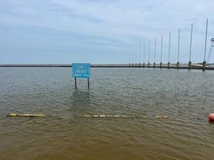 -碧海金沙