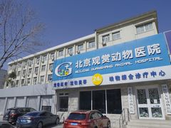 -北京观赏动物医院·24小时大型综合·猫专科·异宠专科