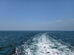 -海驴岛(荣成市)