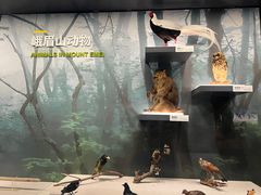 -四川大学博物馆