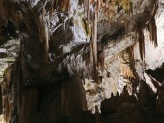 -波斯托伊纳溶洞