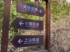 -大岭沟猕猴桃谷风景区