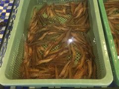 -顺德了能馆(虎门店)