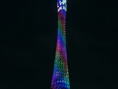 -海心沙亚运公园