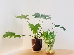 -fishtank鱼缸咖啡(三山街店)