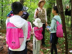 -长白山万达国际度假区