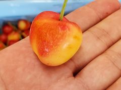 水果生鲜-西郊国际农产品交易中心