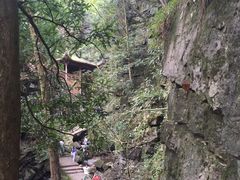 -藏龙百瀑风景区