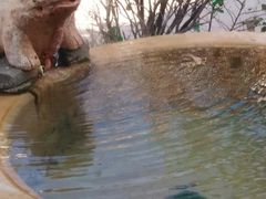 -仁爱团泊湖温泉中心
