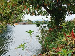 -星湖旅游景区七星岩