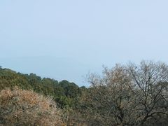 -香山公园