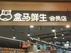 门面-盒马鲜生(岭南新世界店)