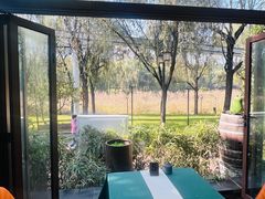 -芦园