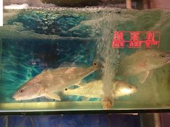 -连家船海鲜大排档·20年闽菜店(厦大店)
