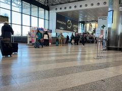 -米兰-马尔彭萨机场