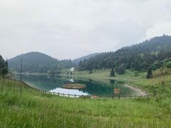 -武陵山森林公园