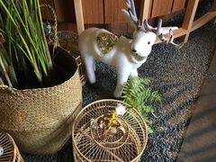 -梅间堂茶馆(绿地缤纷城店)