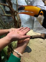 -Zoolung Zoolung动物主题公园(海信广场店)