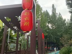 -重庆彩云湖湿地公园