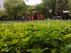 -四川大学(望江校区)