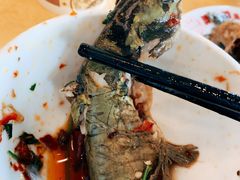 -胖大姐黄辣丁鱼庄(新津店)