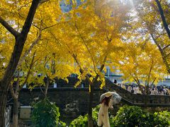 -楚望台遗址公园