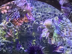 -太平洋海底世界