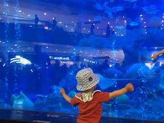 -成都浩海立方海洋公园