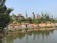 -枫香湖儿童公园