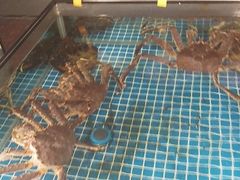 -天鲜阁·海鲜粤菜·33年老字号(石槎白云站店)