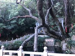 -蝴蝶泉公园