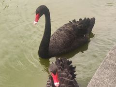 -舜耕山庄四时万和自助餐厅