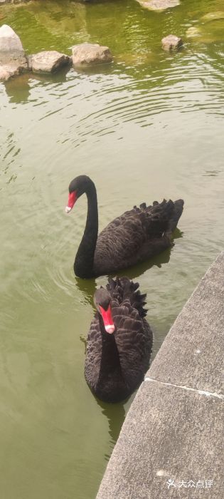 舜耕山庄四时万和自助餐厅图片
