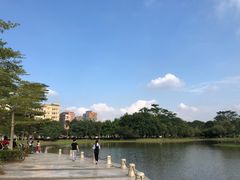 -大屏嶂森林公园