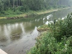 -东郊湿地公园