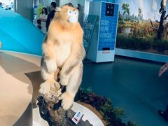 -陕西自然博物馆