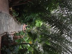 iphone_upload_pic-龙达温泉生态城