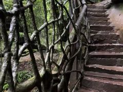 -碧峰峡风景区