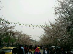 -苏州吴中太湖旅游区