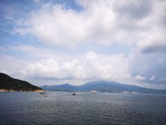 -杨梅坑