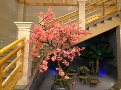-纽斯洗浴SPA(三墩店)