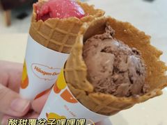 -哈根达斯(石家庄北国店)