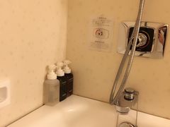 -京都全日空皇冠假日酒店