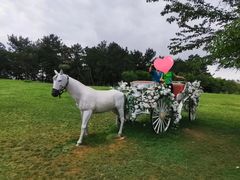 -云漫湖生态度假公园