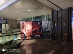 -武商摩尔影城(国广IMAX激光店)
