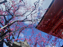 -清水寺