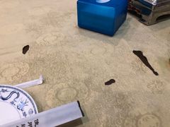 -湘德楼(德胜门外大街店)