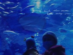 -华夏文旅海洋公园